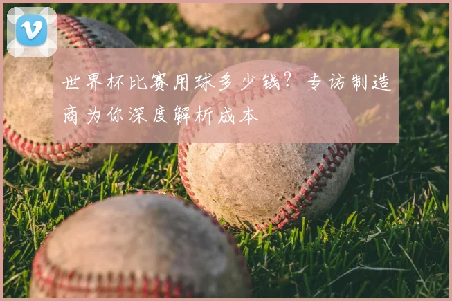 世界杯比赛用球多少钱？专访制造商为你深度解析成本