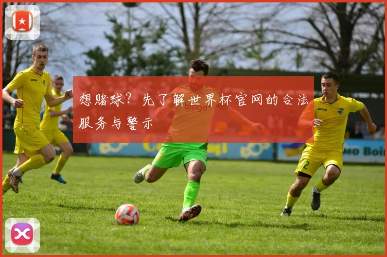 想赌球？先了解世界杯官网的合法服务与警示
