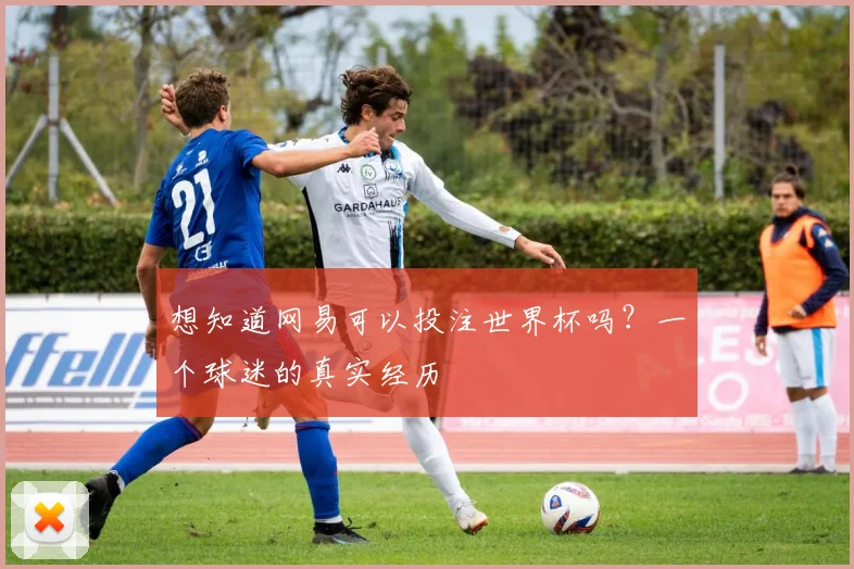 想知道网易可以投注世界杯吗？一个球迷的真实经历