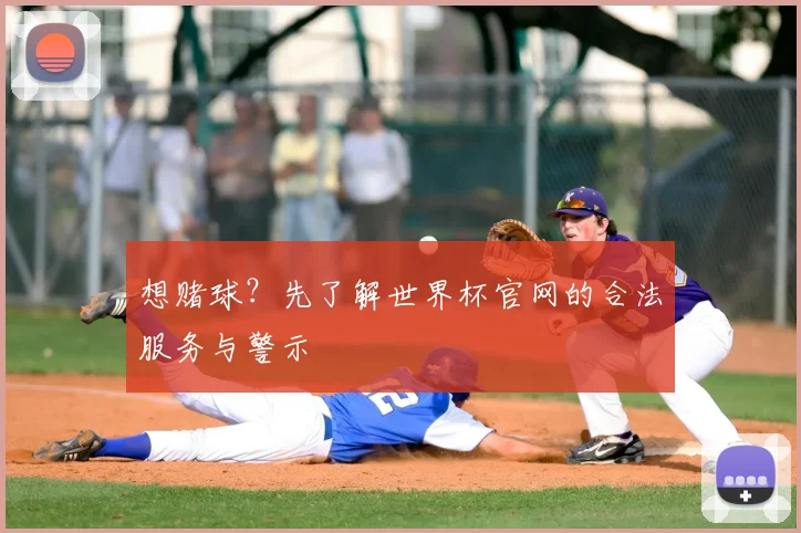 想赌球？先了解世界杯官网的合法服务与警示
