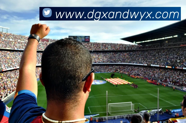 多媒体互动体验